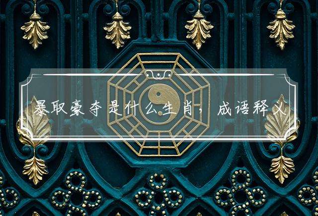 暴取豪夺是什么生肖，成语释义解释落实