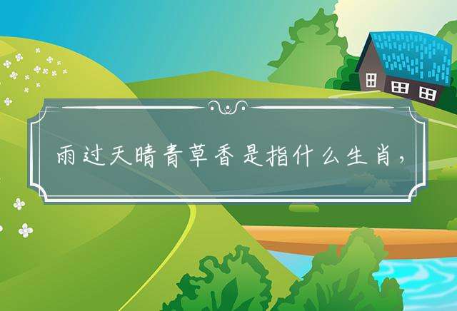 雨过天晴青草香是指什么生肖，成语解释释义落实