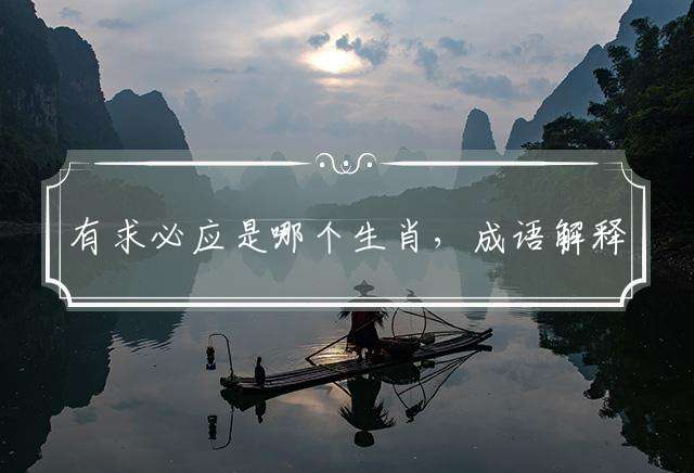 有求必应是哪个生肖，成语解释落实