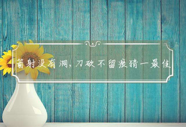 箭射没有洞,刀砍不留痕猜一最佳生肖，详细解释落实