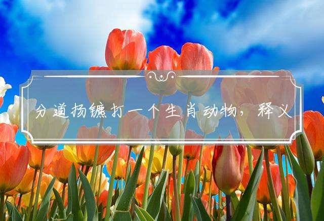 分道扬镳打一个生肖动物，释义成语落实解释