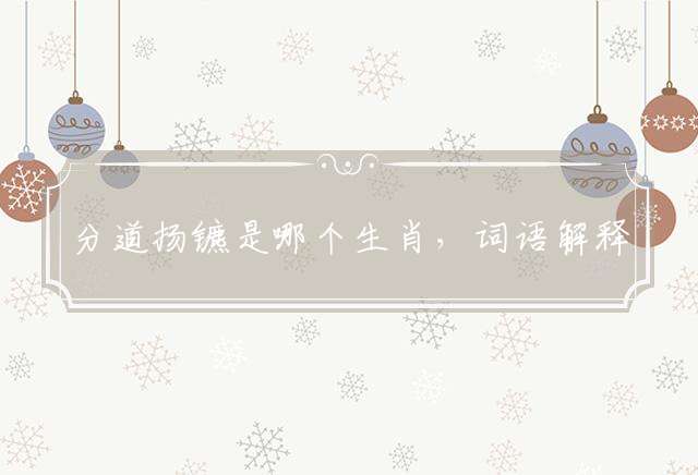 分道扬镳是哪个生肖，词语解释落实