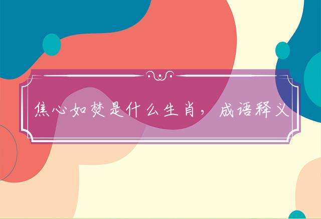 焦心如焚是什么生肖，成语释义解释落实