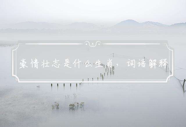 豪情壮志是什么生肖，词语解释落实