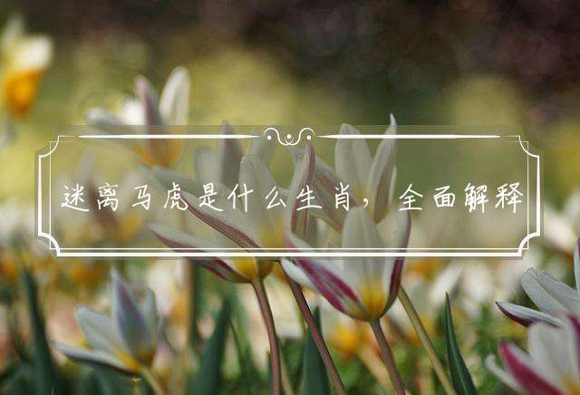 迷离马虎是什么生肖，全面解释落实