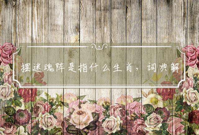 摆迷魂阵是指什么生肖，词典解释落实