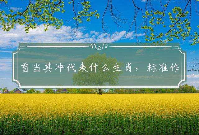 首当其冲代表什么生肖，标准作答落实