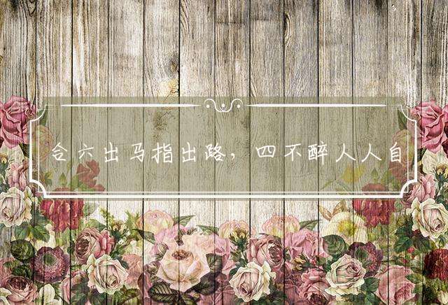 合六出马指出路，四不醉人人自醉打一生肖动物，标准作答落实