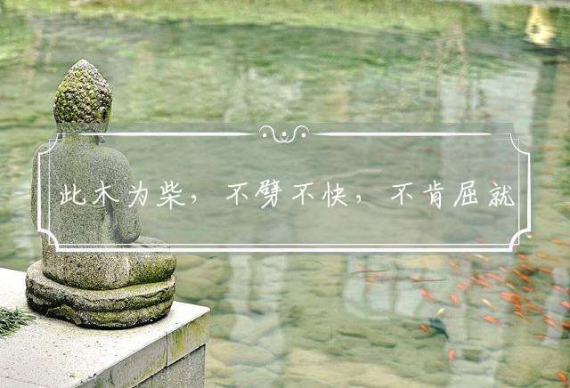 此木为柴，不劈不快，不肯屈就必失败是指代表什么生肖，词典解读落实
