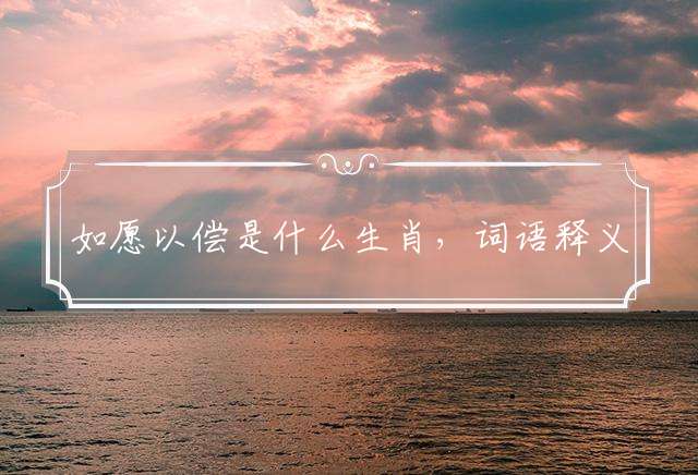 如愿以偿是什么生肖，词语释义解释落实