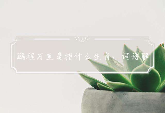 鹏程万里是指什么生肖，词语解释落实