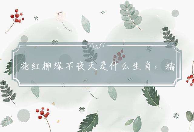 花红柳绿不夜天是什么生肖，精选解答落实