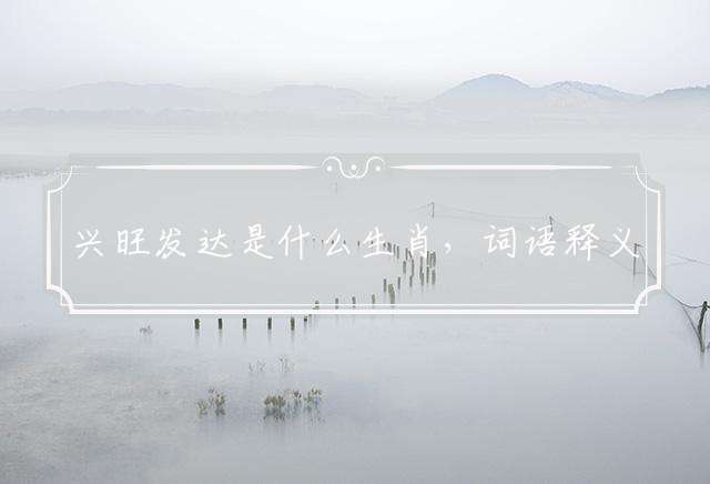 兴旺发达是什么生肖，词语释义解释落实