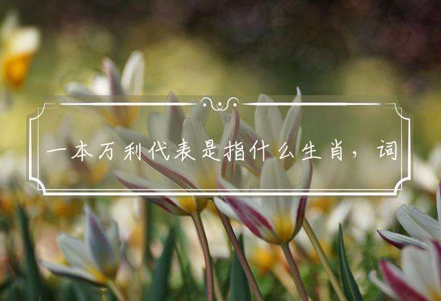 一本万利代表是指什么生肖，词典解释落实