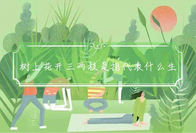 树上花开三两枝是指代表什么生肖，词典解读落实