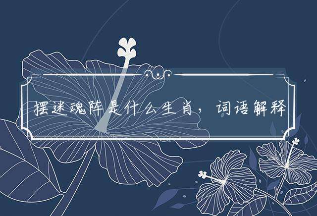 摆迷魂阵是什么生肖，词语解释落实