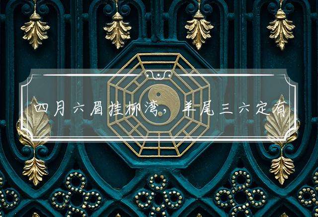 四月六眉挂柳湾，羊尾三六定有情是什么生肖，精选解答落实