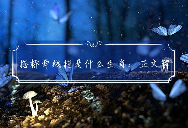 搭桥牵线指是什么生肖，正文解答落实