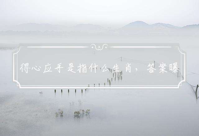 得心应手是指什么生肖，答案曝光落实