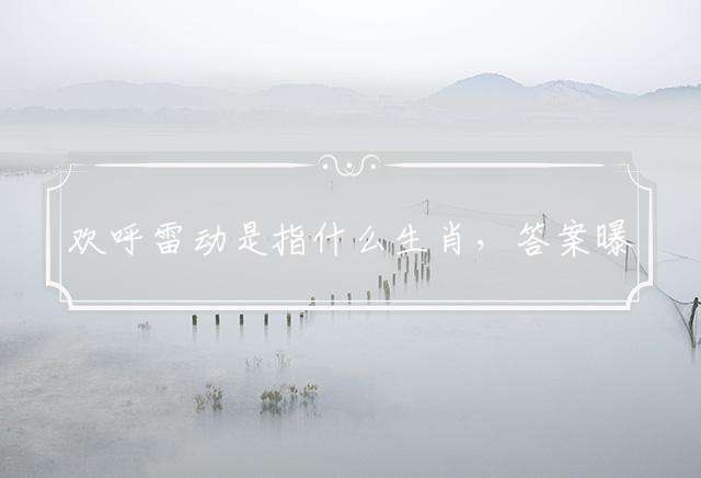 欢呼雷动是指什么生肖，答案曝光落实