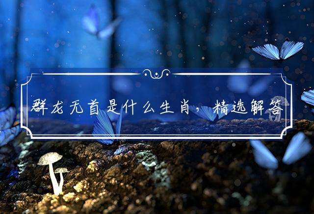 群龙无首是什么生肖，精选解答落实