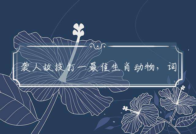 袭人故技打一最佳生肖动物，词语精选落实