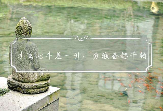 才高七斗差一升，分猴奋起千钧棒是什么生肖，精选解答落实