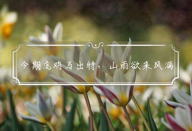 今期虎鸡马出特，山雨欲来风满楼是什么生肖，精选成语落实
