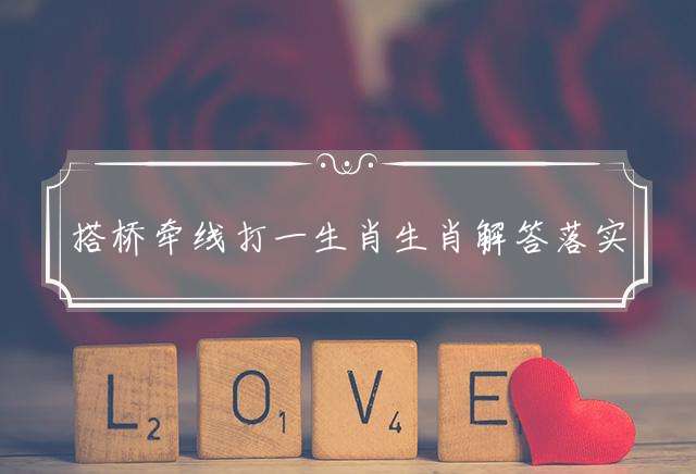 搭桥牵线打一生肖生肖解答落实