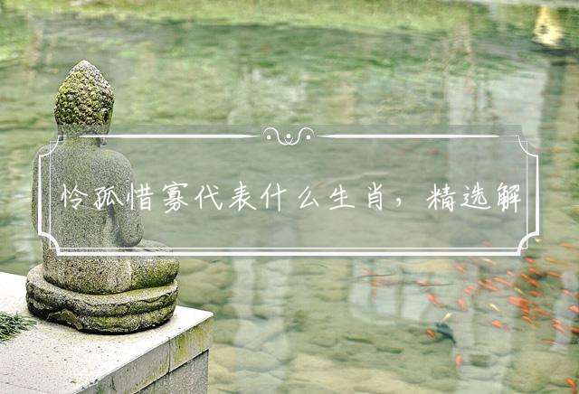 怜孤惜寡代表什么生肖，精选解答落实