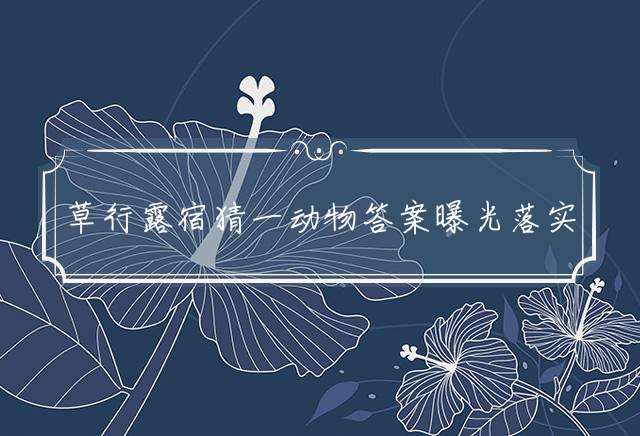 草行露宿猜一动物答案曝光落实