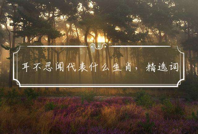 耳不忍闻代表什么生肖，精选词语落实