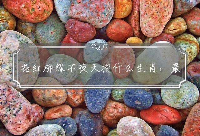 花红柳绿不夜天指什么生肖，最新解释落实