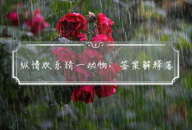 纵情欢乐猜一动物，答案解释落实