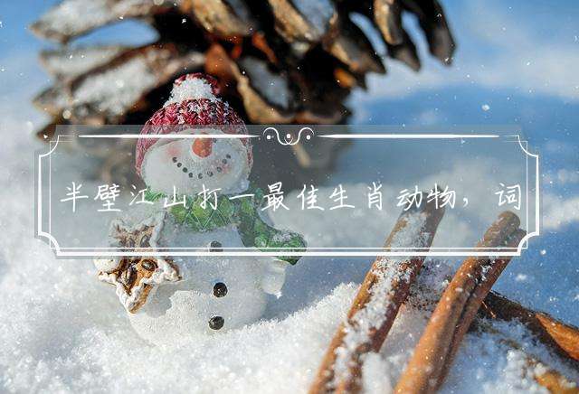 半壁江山打一最佳生肖动物，词语精选落实