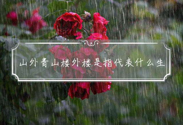 山外青山楼外楼是指代表什么生肖，词典解读落实