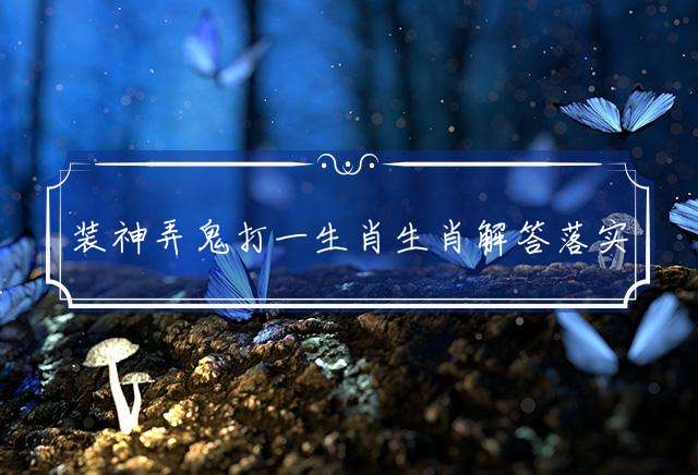 装神弄鬼打一生肖生肖解答落实