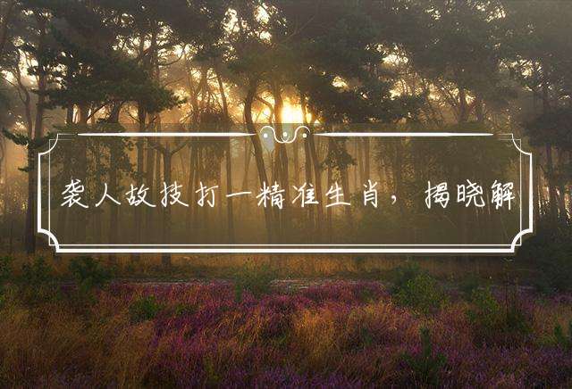 袭人故技打一精准生肖，揭晓解答落实