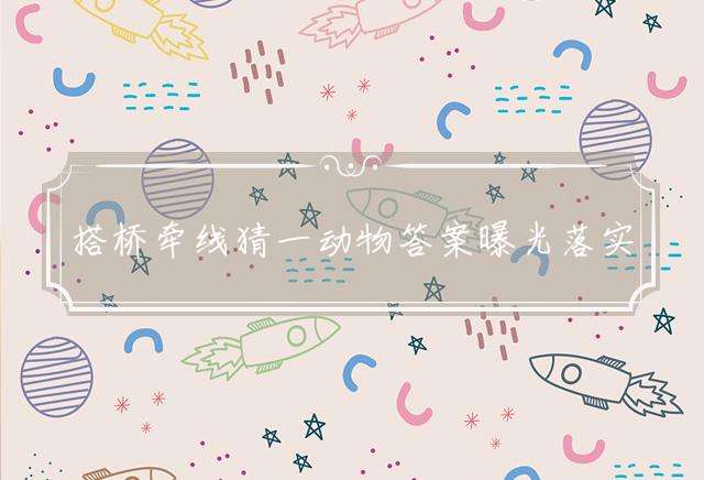 搭桥牵线猜一动物答案曝光落实