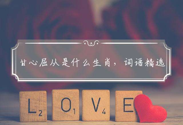 甘心屈从是什么生肖，词语精选落实