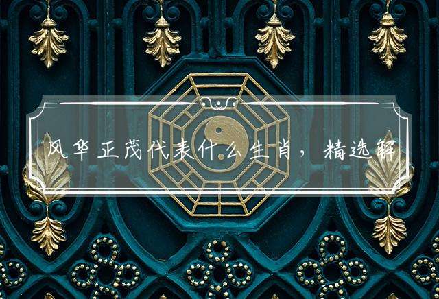 风华正茂代表什么生肖，精选解答落实