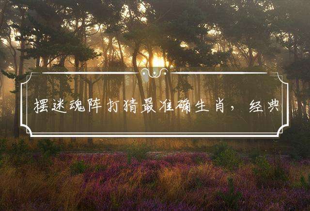 摆迷魂阵打猜最准确生肖，经典答案落实