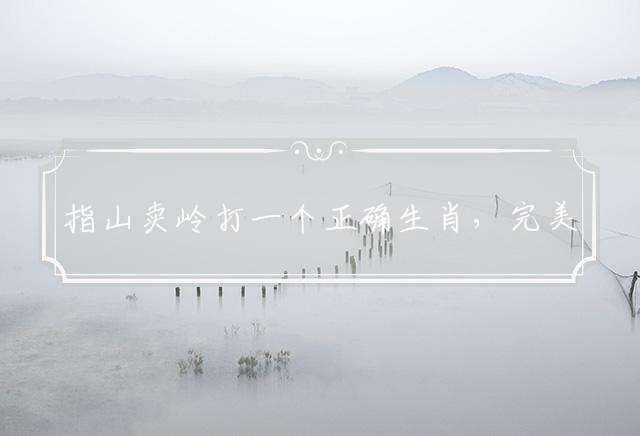 指山卖岭打一个正确生肖，完美释义落实