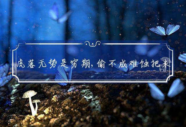 虎落无势是穷期,偷不成难蚀把米是什么动物生肖，答案揭晓分析落实