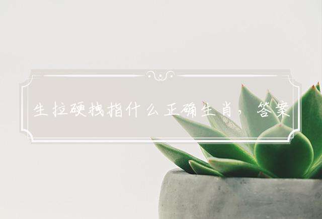 生拉硬拽指什么正确生肖，答案解释落实