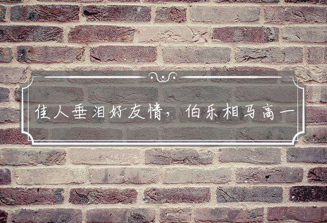 佳人垂泪好友情，伯乐相马高一筹打一生肖，精选分析落实