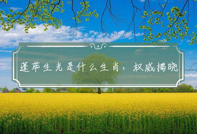 蓬荜生光是什么生肖，权威揭晓落实