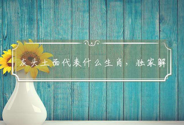 灰头土面代表什么生肖，独家解释落实