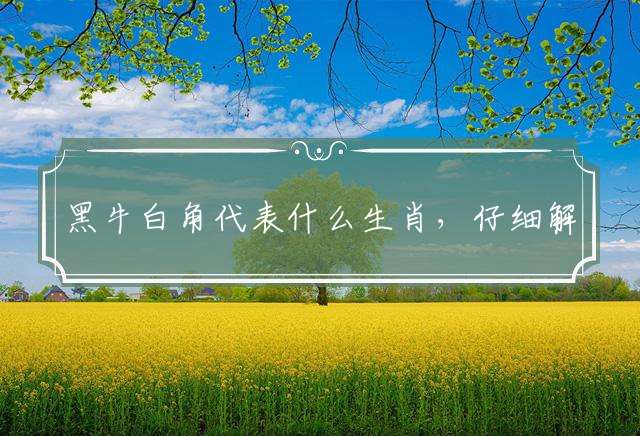 黑牛白角代表什么生肖，仔细解释落实