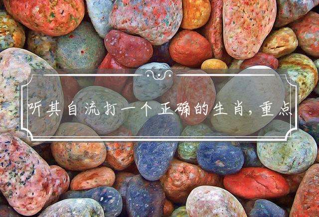 听其自流打一个正确的生肖,重点解释落实
